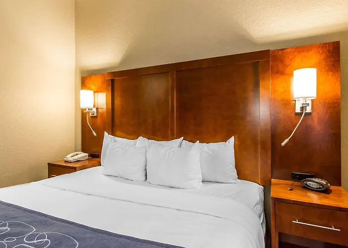Comfort East Hotel 4*