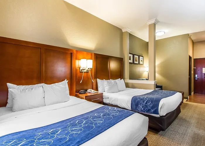 Comfort East 4*