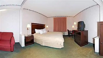 Comfort East 4*