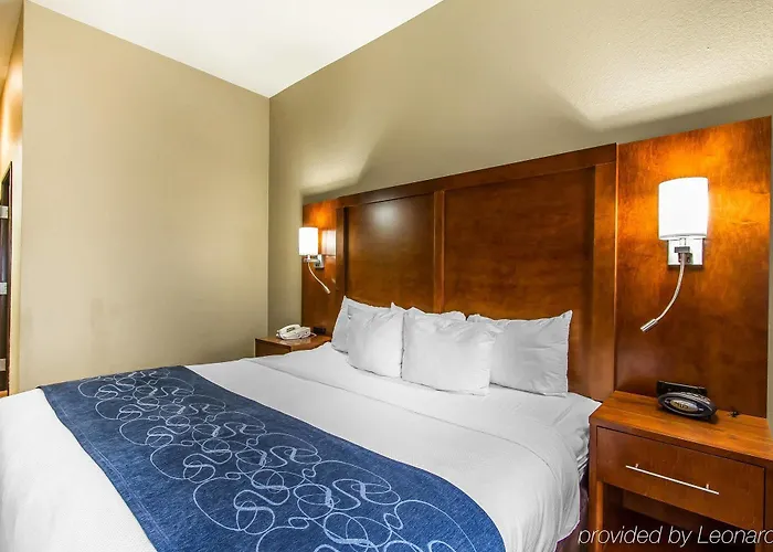 Comfort East